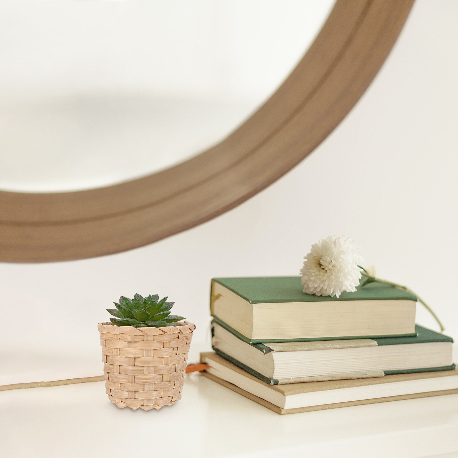 Sustainable Living Officer - Lot de 10 paniers tissés en